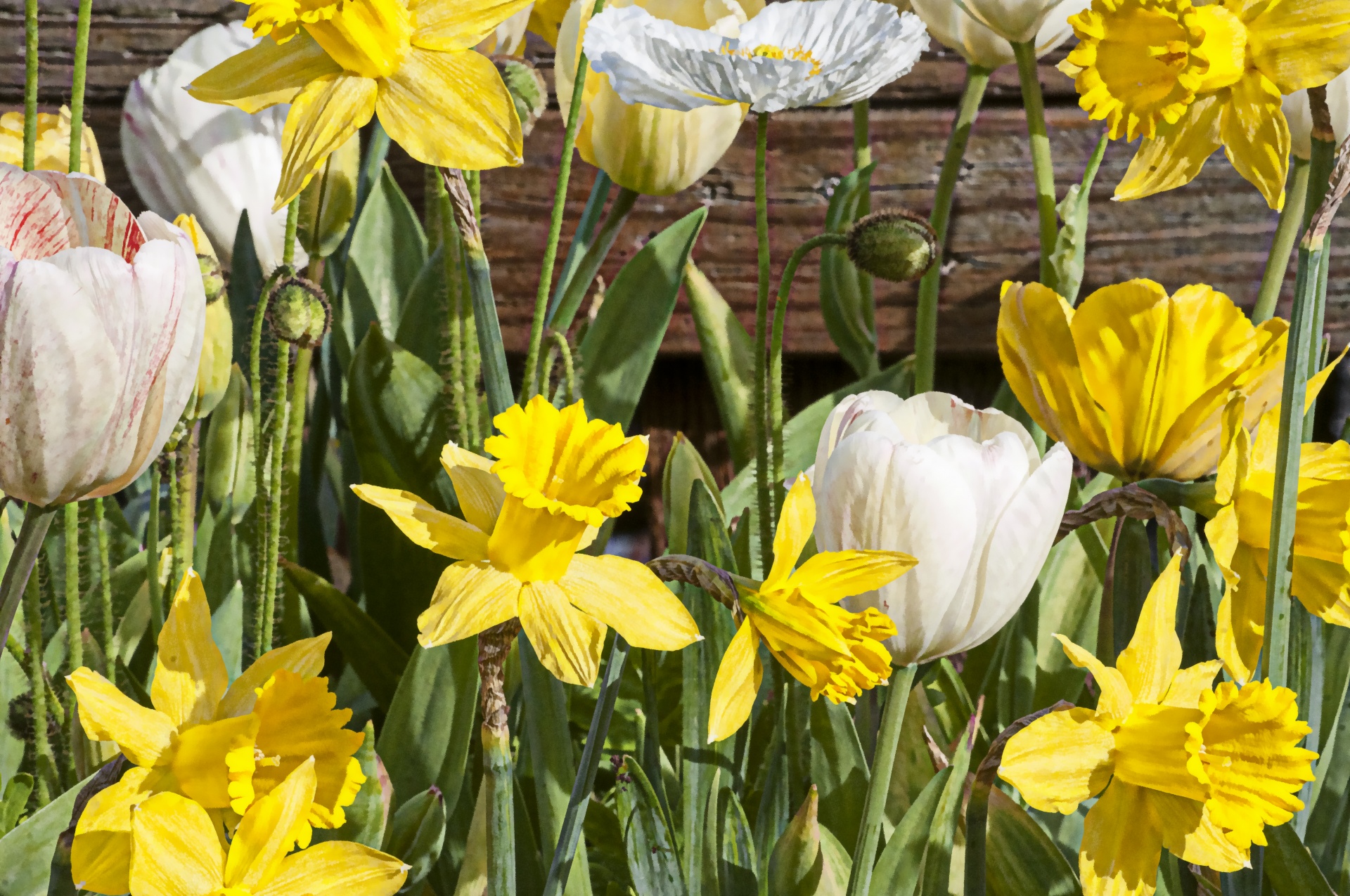 Making time for yourself